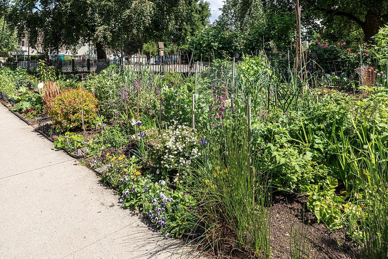 Huerta en el balcón: qué plantar en primavera y cómo empezar con poco espacio
