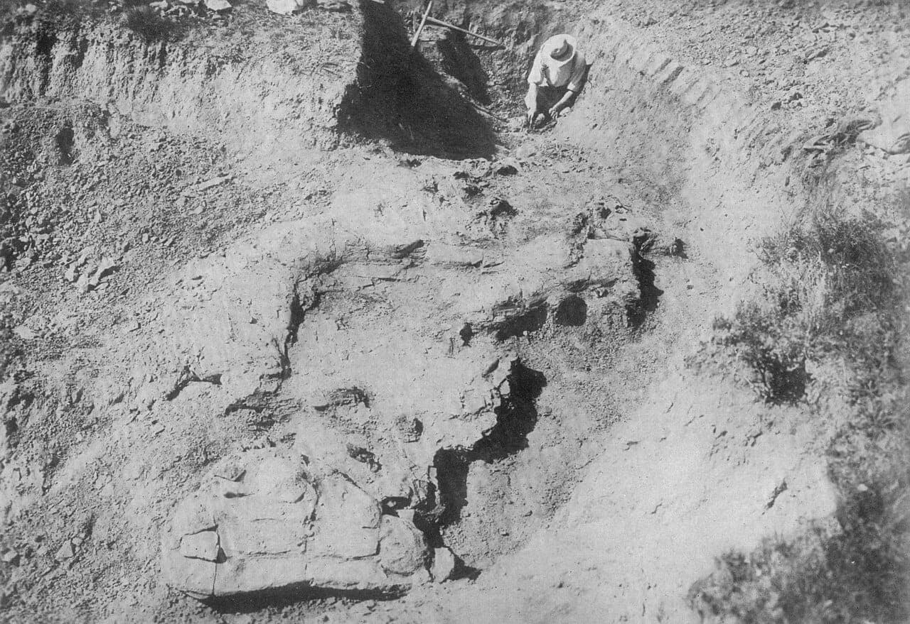 Paleontólogos descubrieron en Neuquén una nueva especie de dinosaurio herbívoro de 90 millones de años
