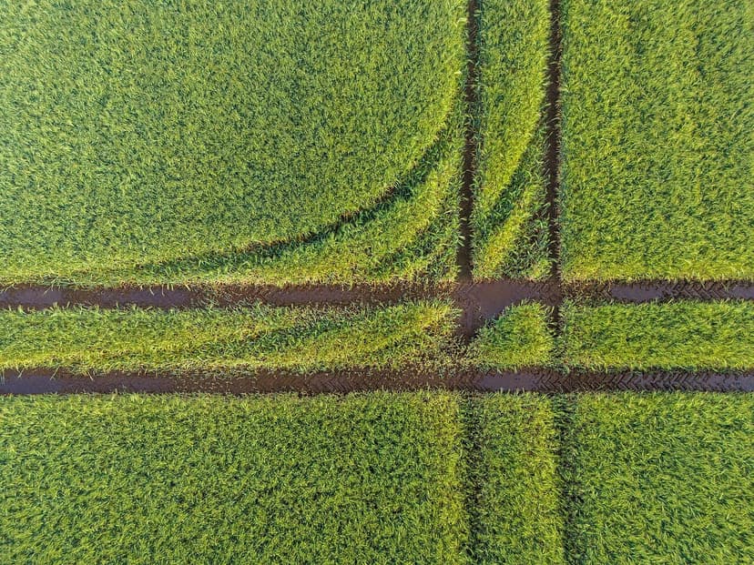 Una startup cordobesa de agtech levantó 12 millones de dólares para expandirse en Brasil y Estados Unidos